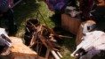 /album/fotogaleria-la-redota-2011/liceo-1-1537-jpg/